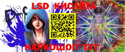 крисы Малоярославец