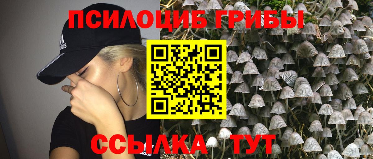 Галлюциногенные грибы Psilocybine cubensis Южно-Сахалинск